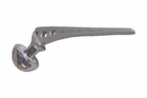 ORTHOPAEDICS Hip Prosthesis
