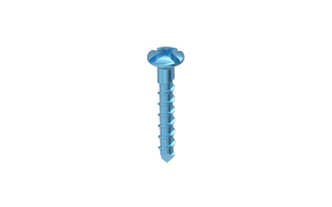 Titanium Screws Cross Drive