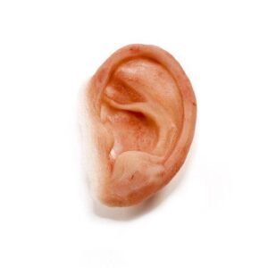 Ear Prosthesis