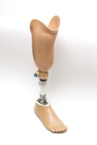 Limb Prosthesis