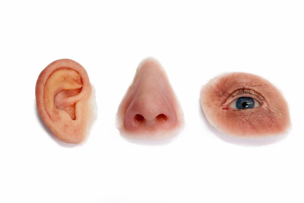 Silicone Cosmetic Prosthetics